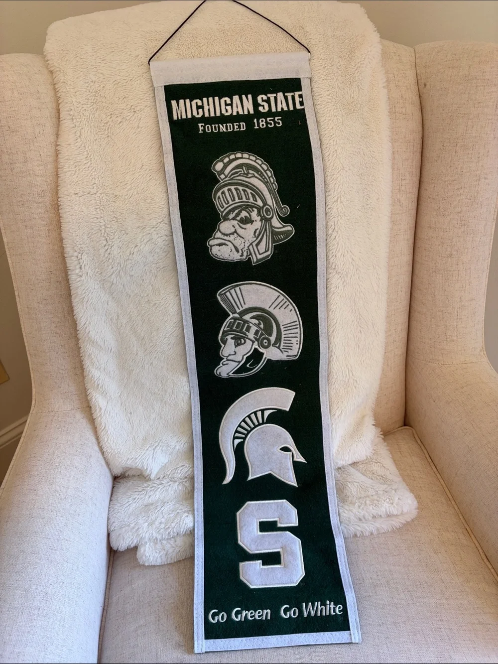 Michigan State colors - Green and White Team Banner - Home Decor